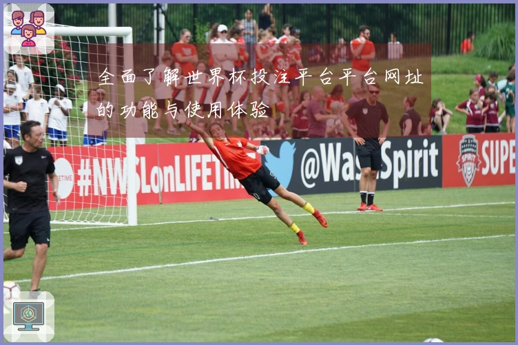 全面了解世界杯投注平台平台网址的功能与使用体验