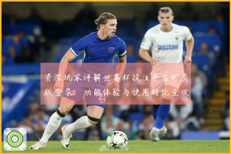 资深玩家详解世界杯投注平台网页版登录：功能体验与使用对比全攻略