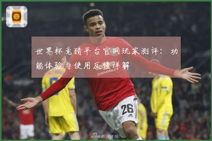 世界杯竞猜平台官网玩家测评：功能体验与使用反馈详解