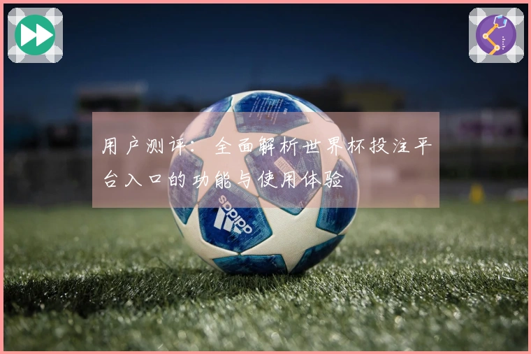 用户测评：全面解析世界杯投注平台入口的功能与使用体验