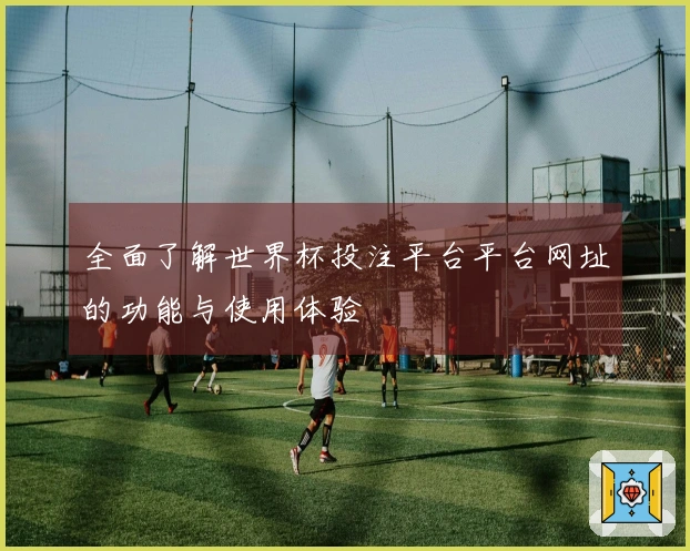 全面了解世界杯投注平台平台网址的功能与使用体验