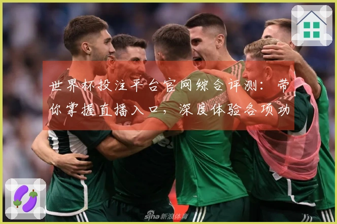 世界杯投注平台官网综合评测：带你掌握直播入口，深度体验各项功能