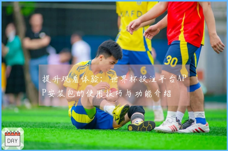 提升观看体验：世界杯投注平台APP安装包的使用技巧与功能介绍