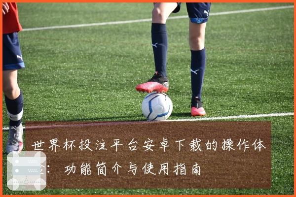 世界杯投注平台安卓下载的操作体验：功能简介与使用指南