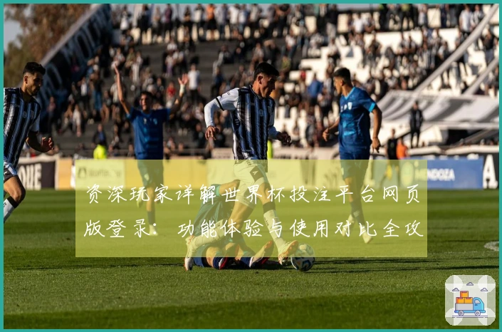 资深玩家详解世界杯投注平台网页版登录：功能体验与使用对比全攻略