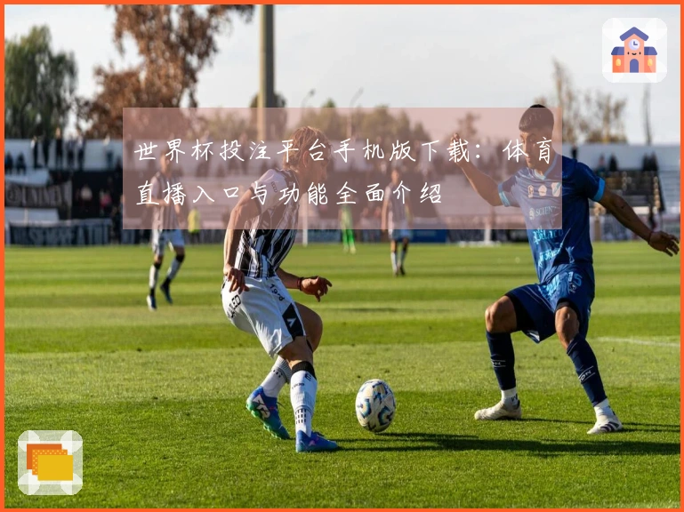 世界杯投注平台手机版下载：体育直播入口与功能全面介绍