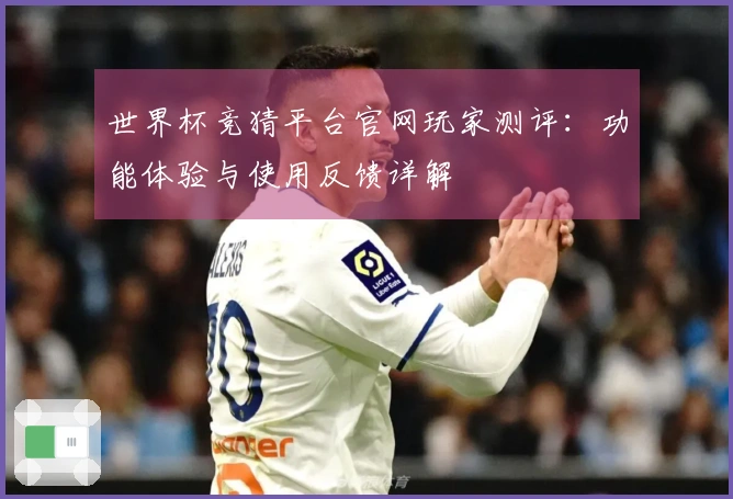 世界杯竞猜平台官网玩家测评:功能体验与使用反馈详解