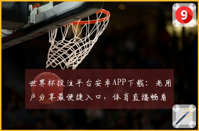 世界杯投注平台安卓APP下载：老用户分享最便捷入口，体育直播畅看不容错过