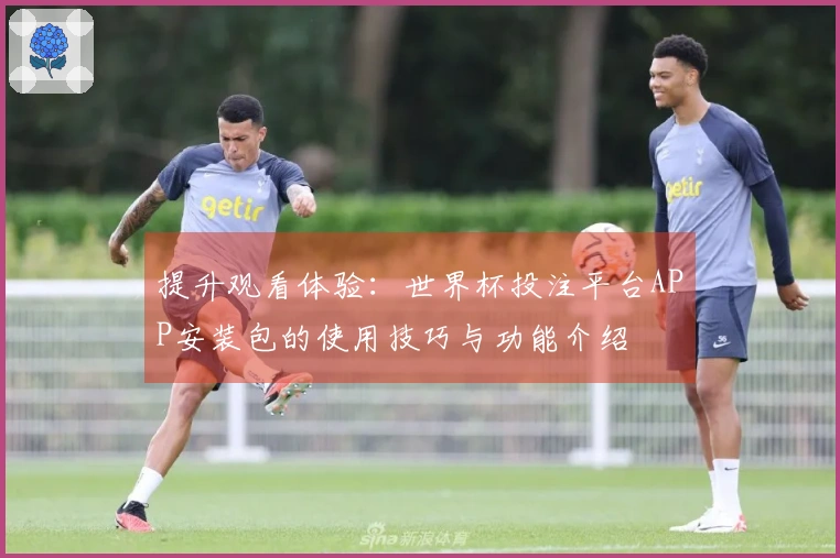 提升观看体验：世界杯投注平台APP安装包的使用技巧与功能介绍