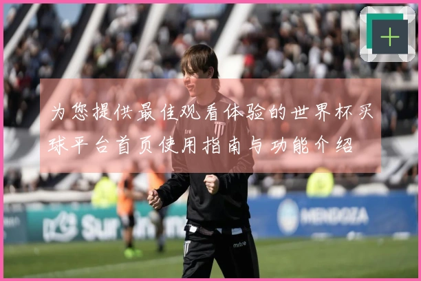 为您提供最佳观看体验的世界杯买球平台首页使用指南与功能介绍