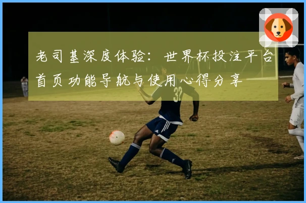 老司基深度体验：世界杯投注平台首页功能导航与使用心得分享
