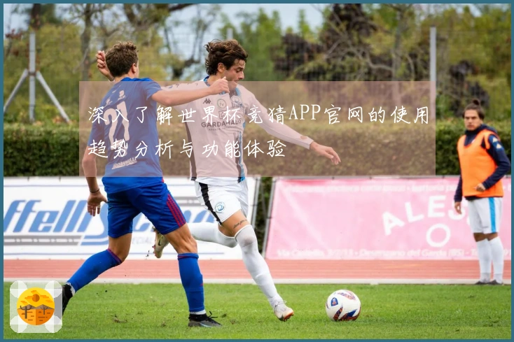 深入了解世界杯竞猜APP官网的使用趋势分析与功能体验
