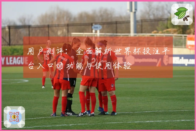 用户测评：全面解析世界杯投注平台入口的功能与使用体验