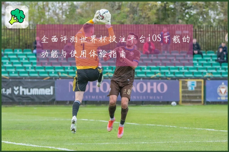 全面评测世界杯投注平台iOS下载的功能与使用体验指南